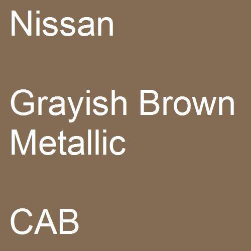 Nissan, Grayish Brown Metallic, CAB.